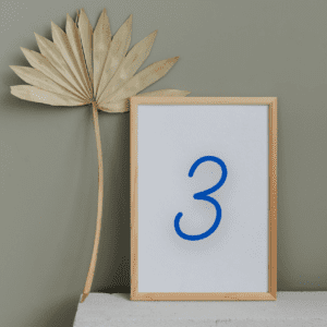 sage green wall with palm leaf and frame with the number 3 in navy blue
