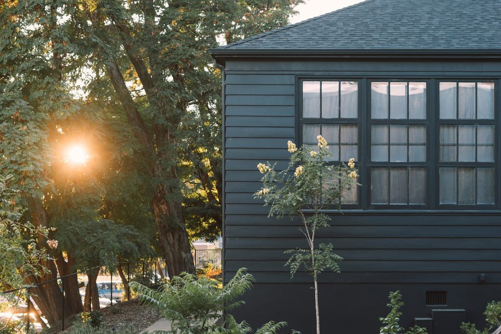 black house with large tree and sun peaking through