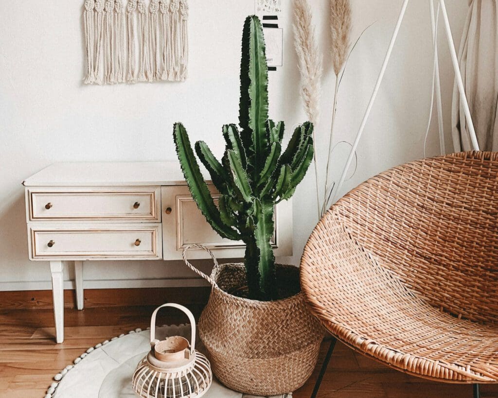 white table, cactus plant, rattan chair in boho interior design style room